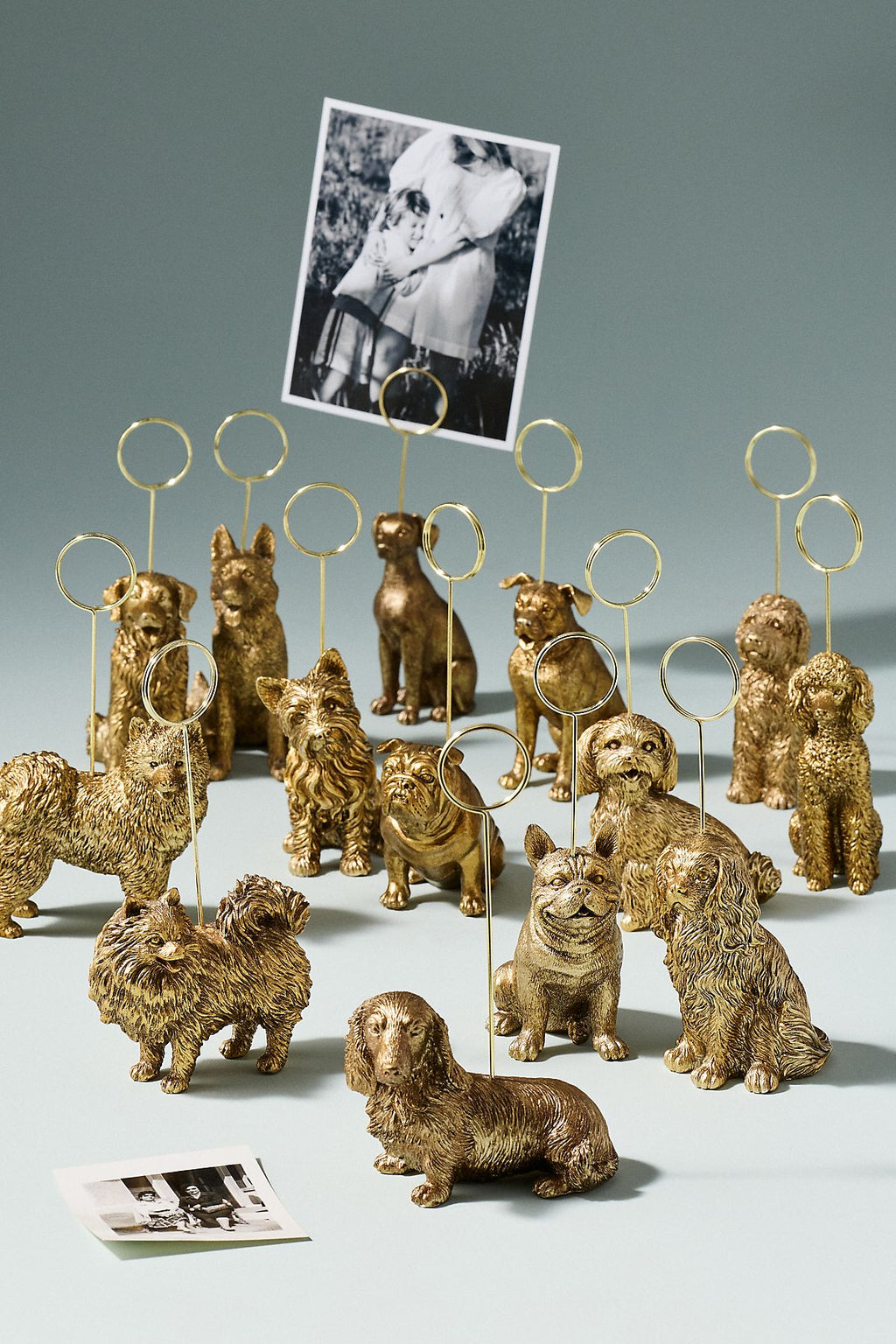 Porte-photo d'icône d'animal : Édition chien